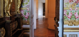 Guided tours 