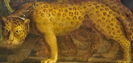 A la recherche des animaux dans le Château 