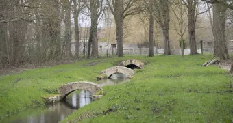 Le Versailles de Sylvain Parrot